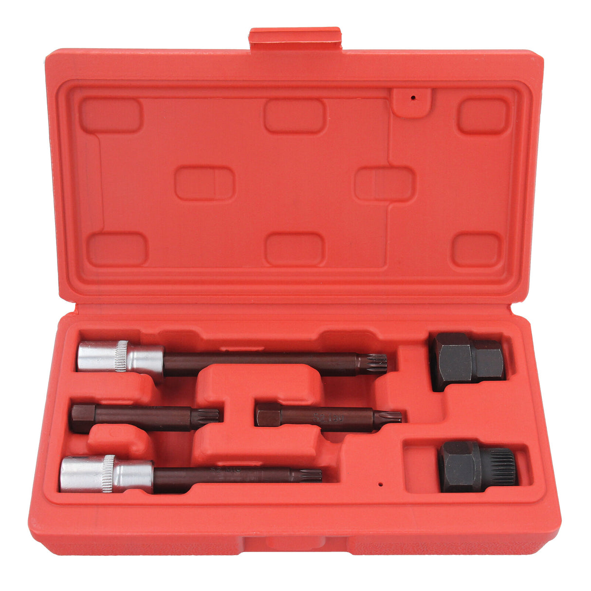 6-tlg. Lichtmaschinen-Bitsatz Audi, BMW, Citroen, Ford